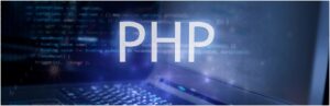 Read more about the article Maximize your site’s potential with PHP hosting