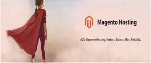 Read more about the article Magento 2 hosting providers with other solutions
