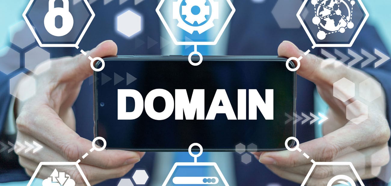 You are currently viewing The History of Domain Hosting Services